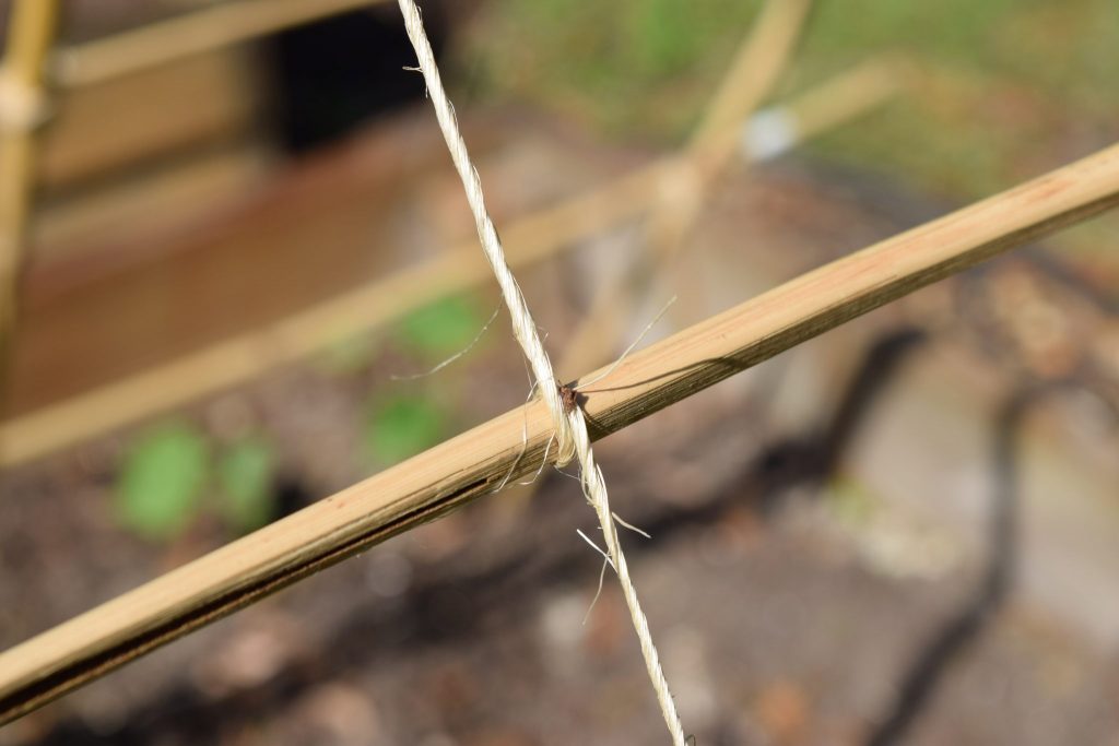 DIY cucumber trellis: close up of rope trellis for cucumbers to climb 