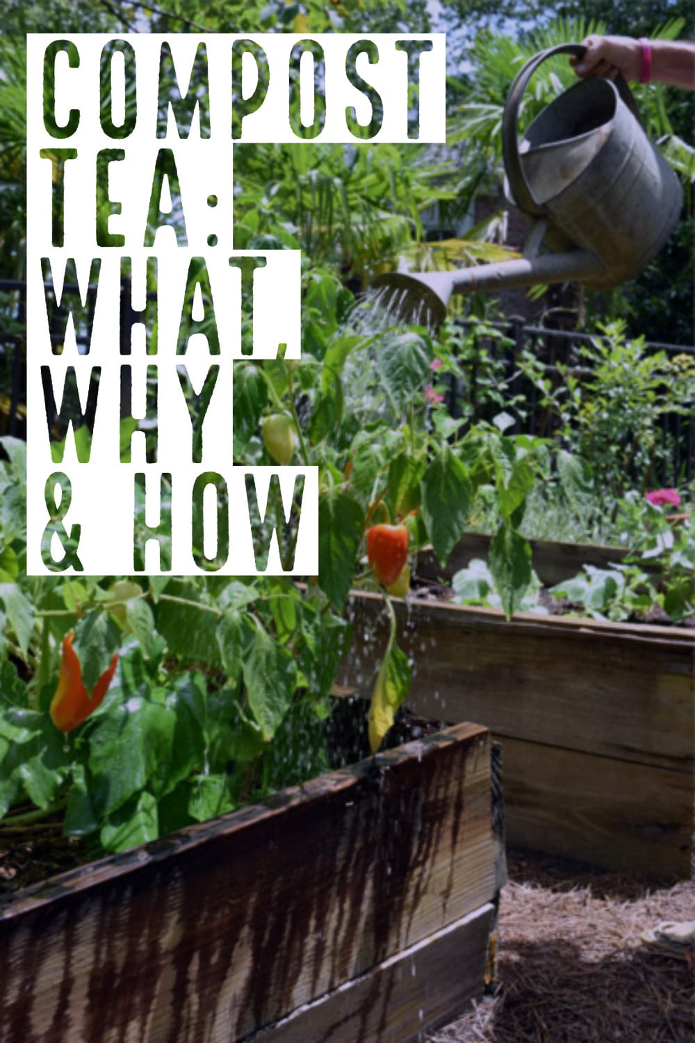 Can You Compost Tea Bags? — Marley's Menu
