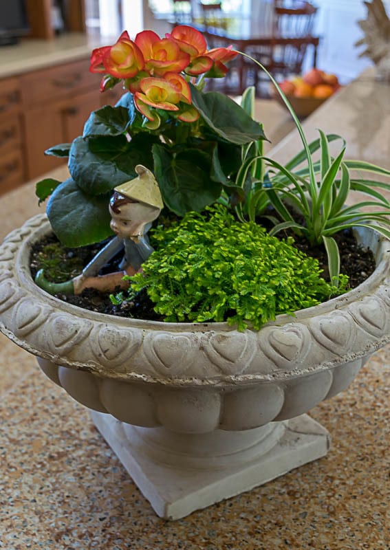 Create an indoor container garden, using the the 'thriller, filler and spiller' method of container gardening. An easy DIY for seasonal home decor.
