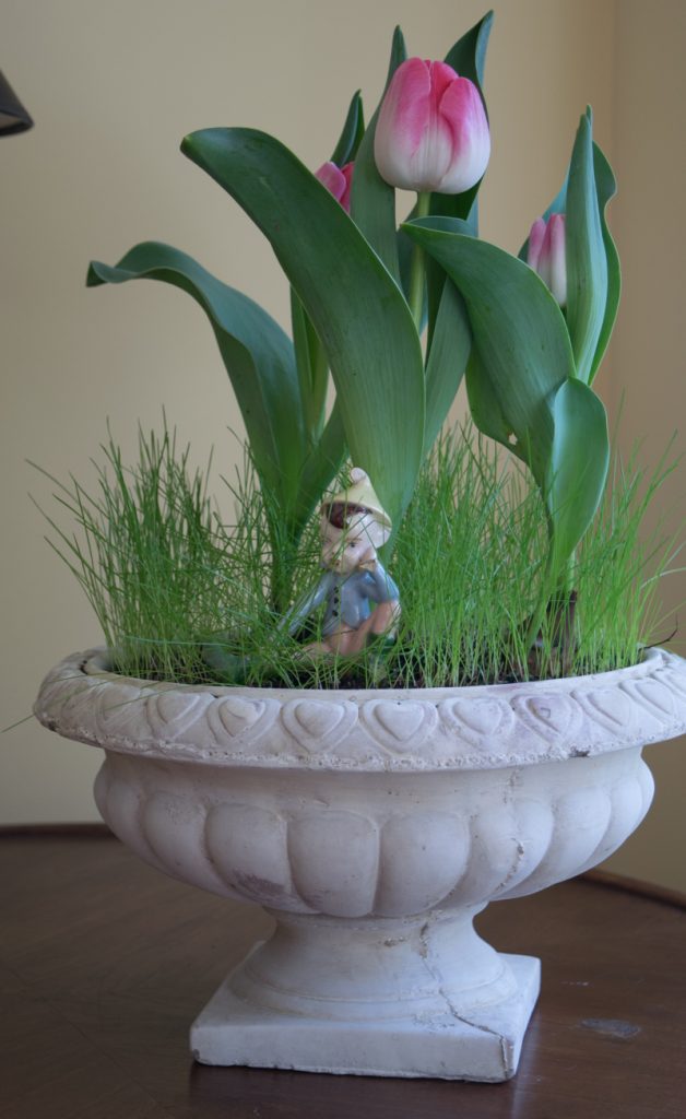 Spring Decor Ideas: Pot filled with grass and blooming tulips