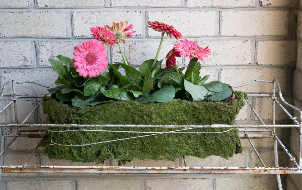 Spring Decor Ideas: DIY Spring crafts - close up of finished mossy planter