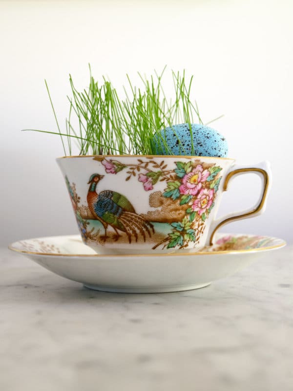 A tea cup with grass growing and a small blue speckled egg.