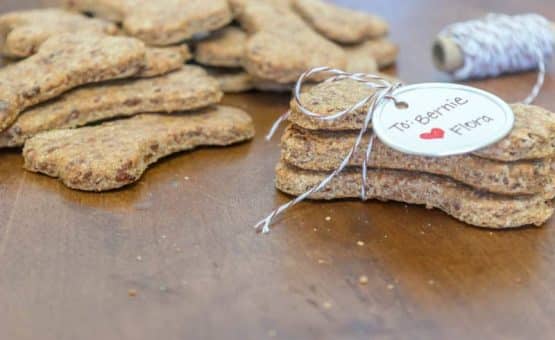 Simple recipe to make your own dog treats. Ingredients includes whole wheat, honey, eggs & cheddar cheese, sure to please even the pickiest canine friend.