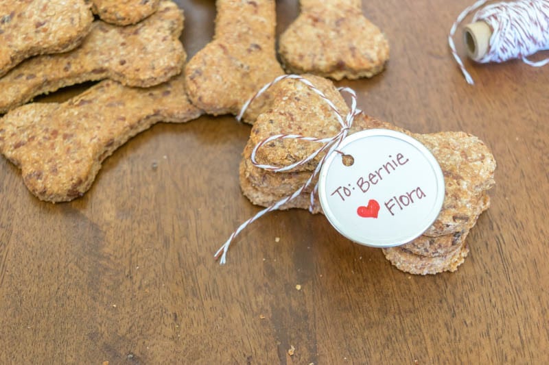 Homemade dog treats recipe with cheddar cheese - perfect for training or gifts for your dog friends