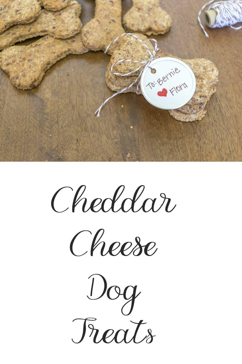 Simple recipe for how to make your own dog treats. Ingredients includes whole wheat, honey, eggs & cheddar cheese, sure to please even the pickiest canine friend