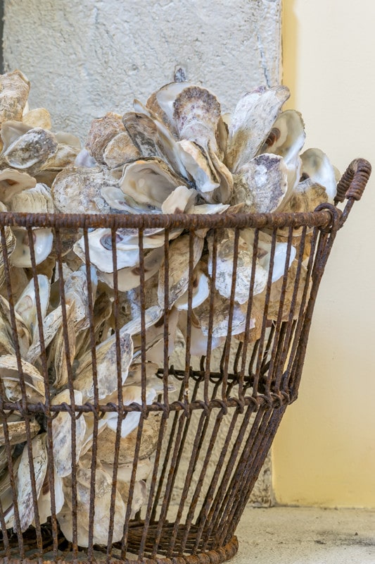 A close up of a basket with oyster shell clusters.