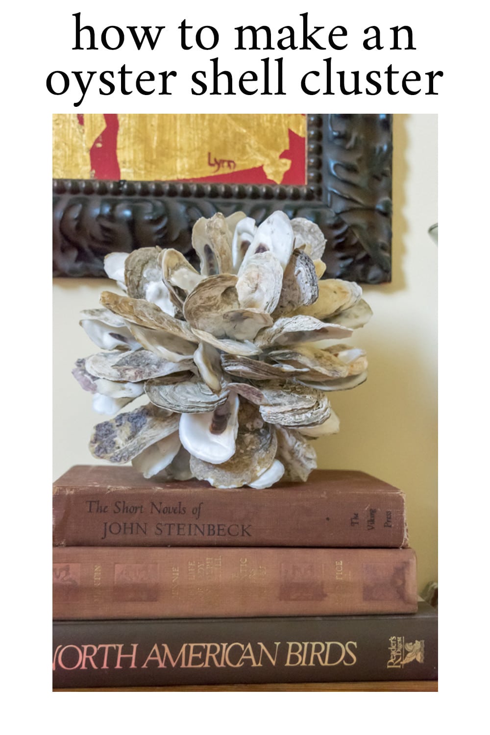 oyster shell cluster on books