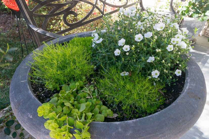 Spring Front Porch Ideas: Spring container planter