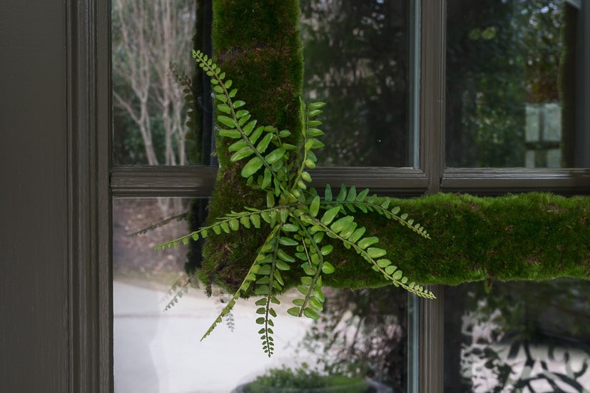 DIY Moss Wreath: Close up of small fern in corner of moss wreath 