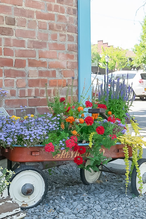 image of Little red wagon filled with great Container Garden ideas, Lobelia, Red Verbana, marigolds and creeping jenny container garden recipe.