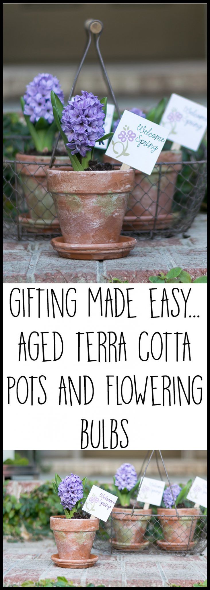 I love the aged and mossy feel that these aged terra cotta pots have. Such an easy project, with detailed instructions, materials list and a video. And these pots, with a little plant tucked in, make such perfect gifts. The tags made with the help of Cricut Explore Air, add the final touch