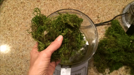 Preparing the faux moss mix