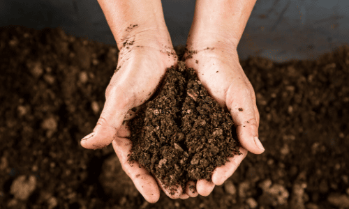 How to Make Compost and Use it