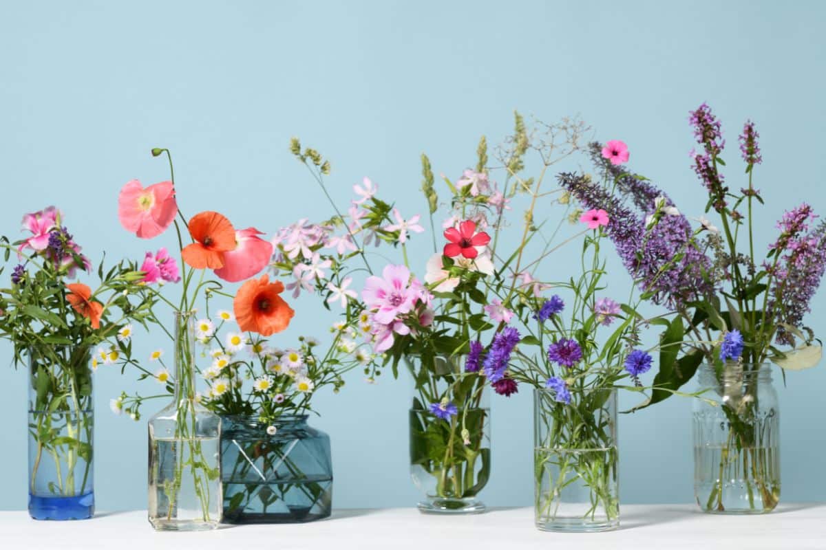 An assortment of vases filled with a variety of flowers from a cutting garden.