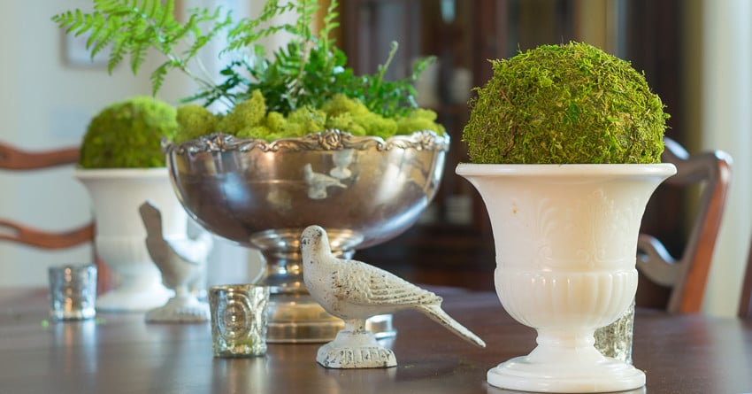 The Easiest Diy Moss Balls Nourish And Nestle