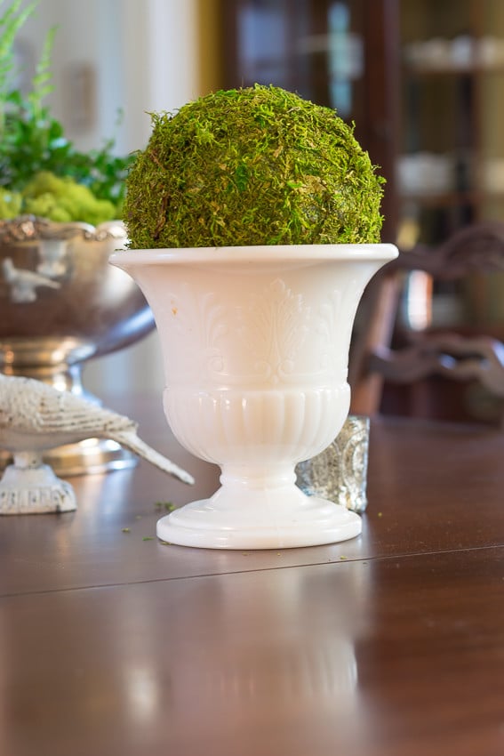 DIY Moss Ball: Spring decor on kitchen table