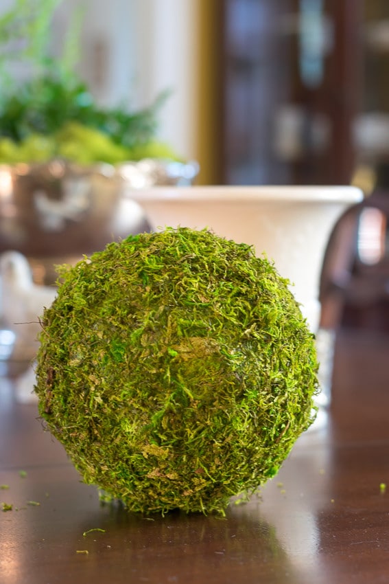 Close-up of finished decorative moss ball