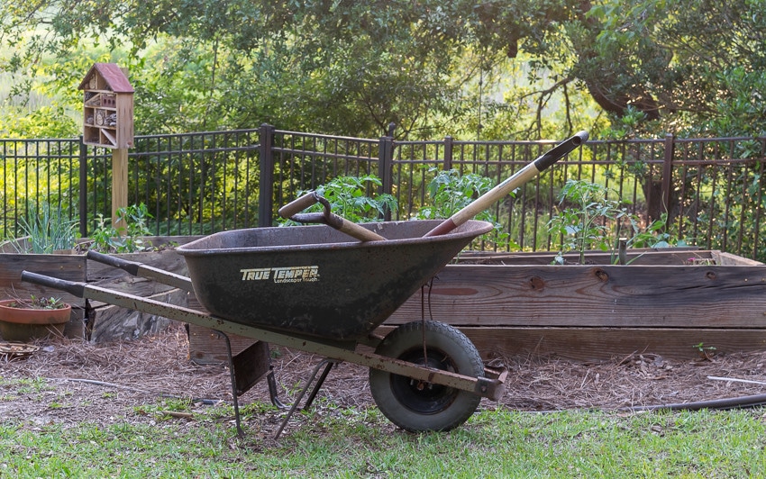 How to compost: wheelbarrow in front of organic vegetable beds