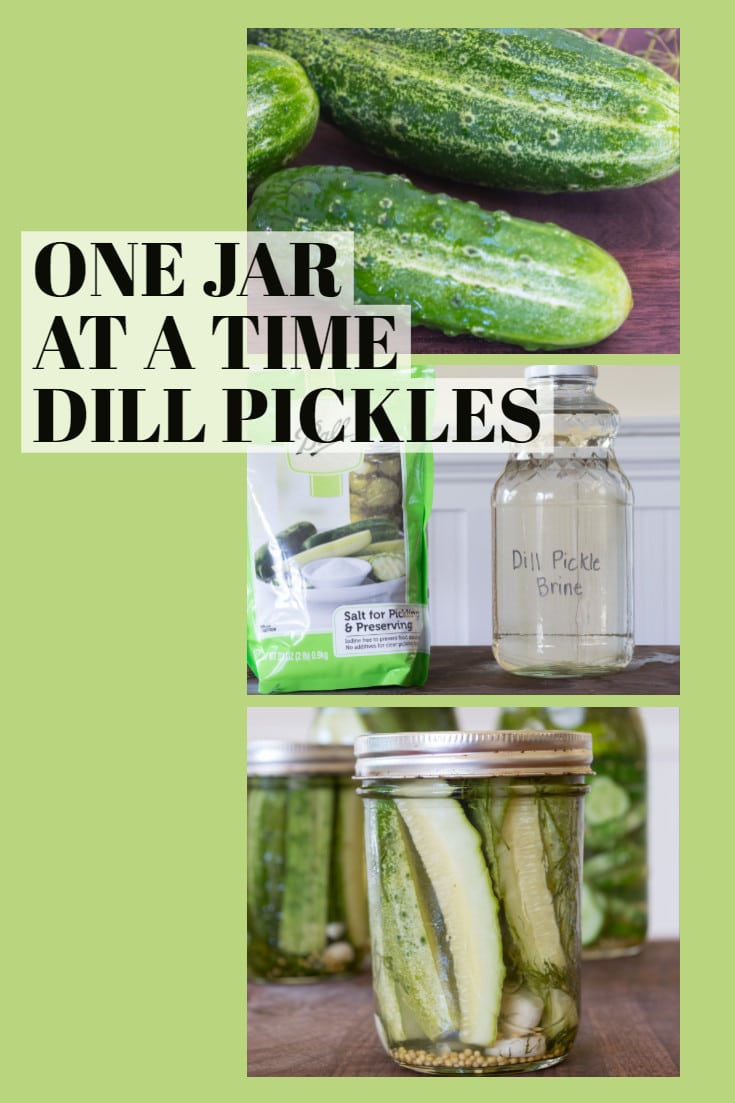 Dill Pickle Recipe JarbyJar, Refrigerator · Nourish and Nestle