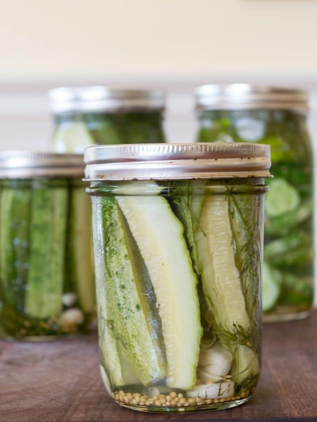 Dill Pickles: Jar by Jar Story