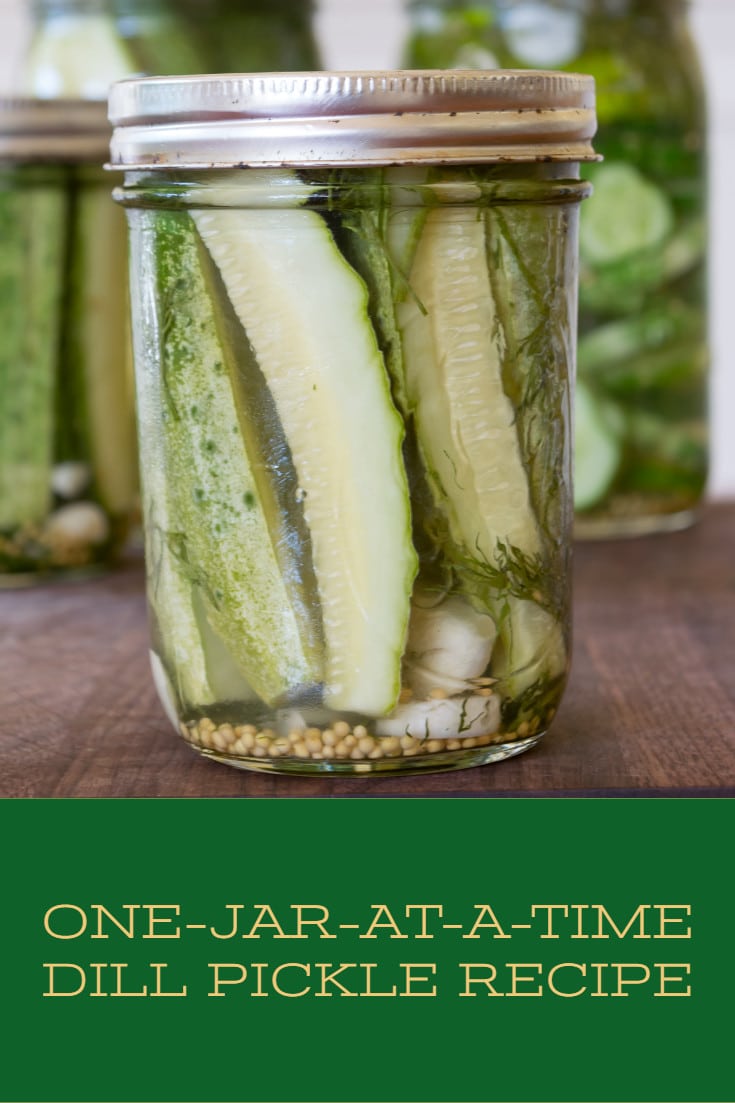 Dill Pickle Recipe JarbyJar, Refrigerator · Nourish and Nestle