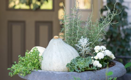 Gray gourd with white flowers and green plants in planter.
