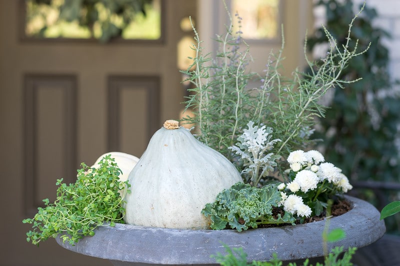 Gray gourd with white flowers and green plants in planter.