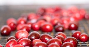 Cranberries after cooked in syrup.