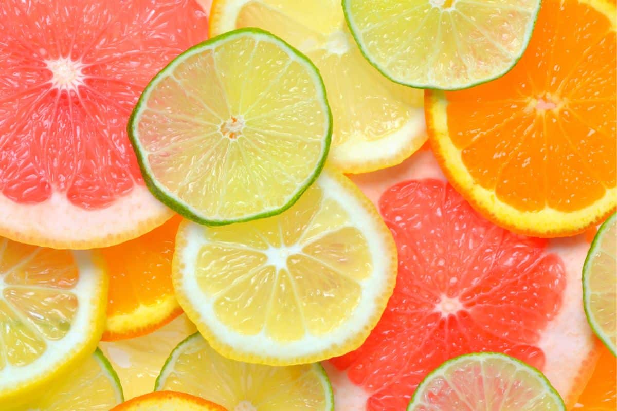 Citrus Recipes to Make You Forget About Winter