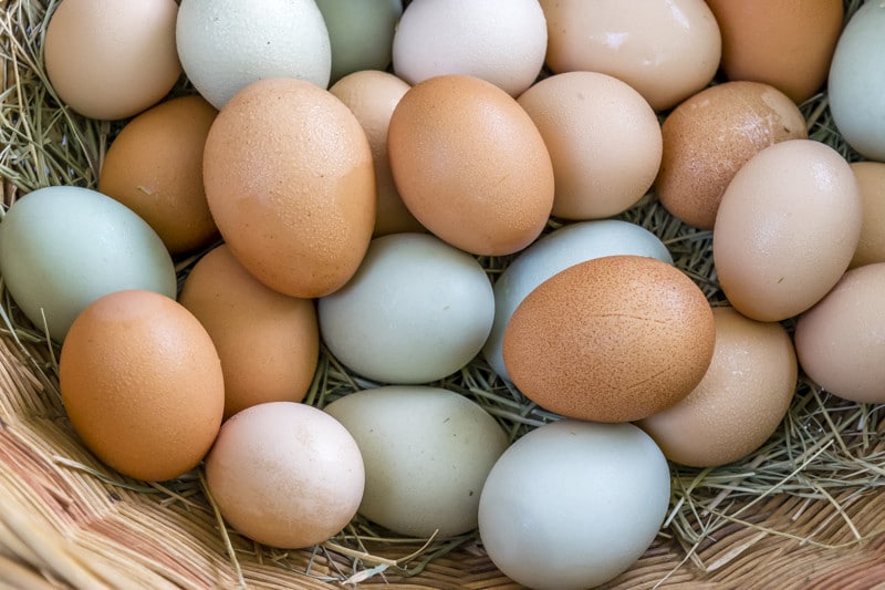 Brown, blue, green, and beige eggs.