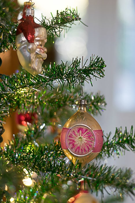 Christmas decorations: close up of ornaments on tree 