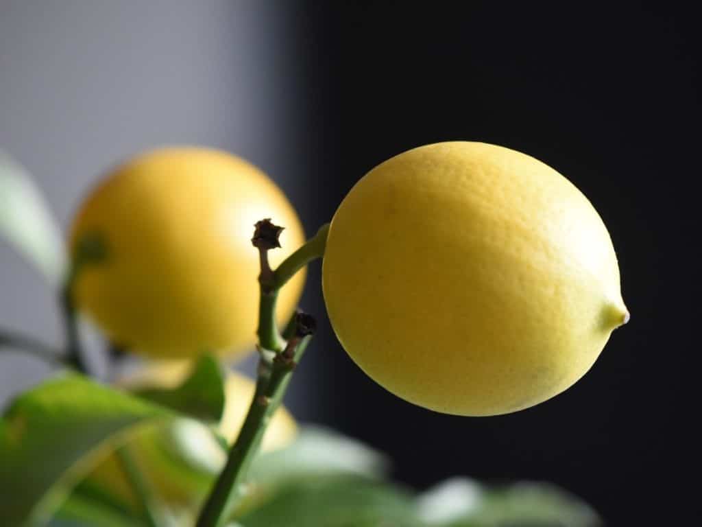A close up of a lemon