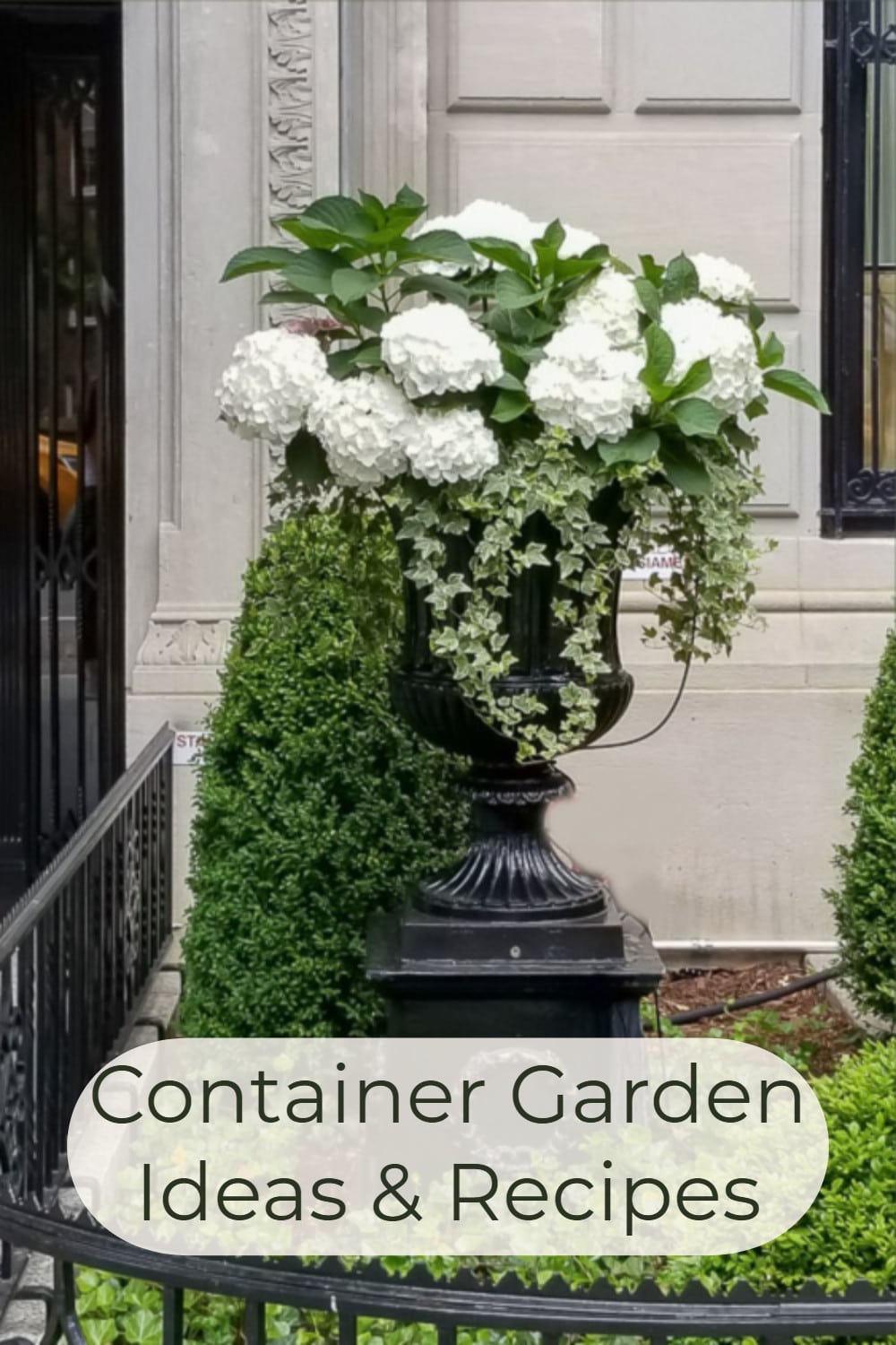 pin showing white and green container garden