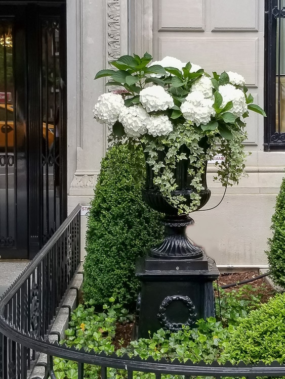 Classic White and Green Container Garden