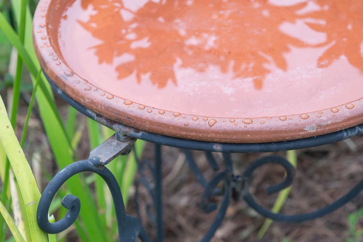 Water Beading on Terra Cotta Saucer after Spraying with Triple Thick Glaze