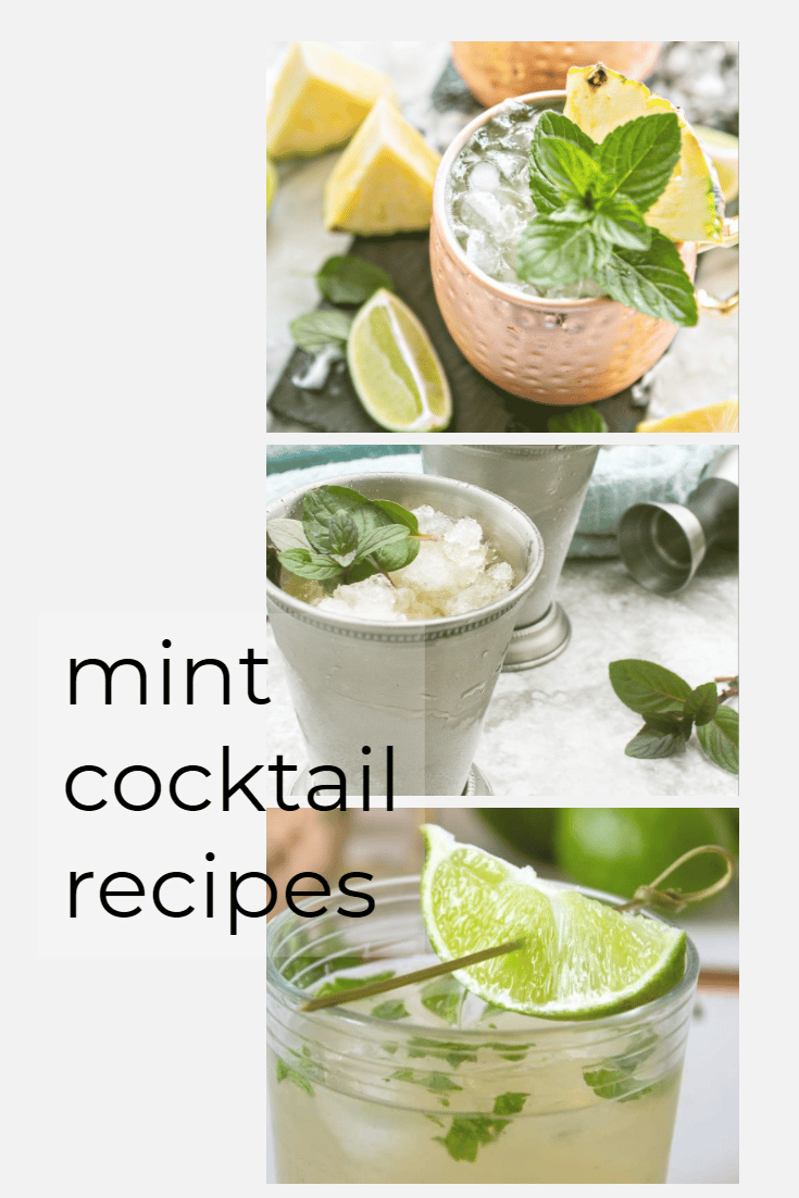 Pin showing 3 Mint Cocktail Recipes