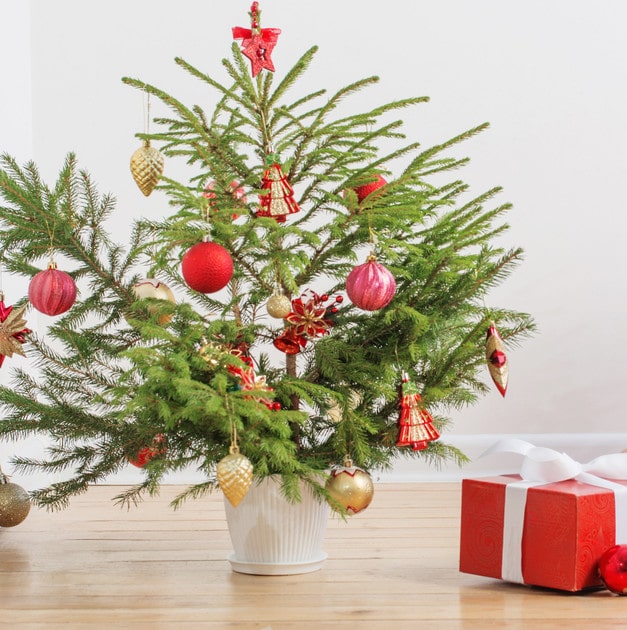A small tabletop tree is a good tip when decorating a small space for Christmas
