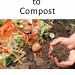 hands full of dirt with composted scraps