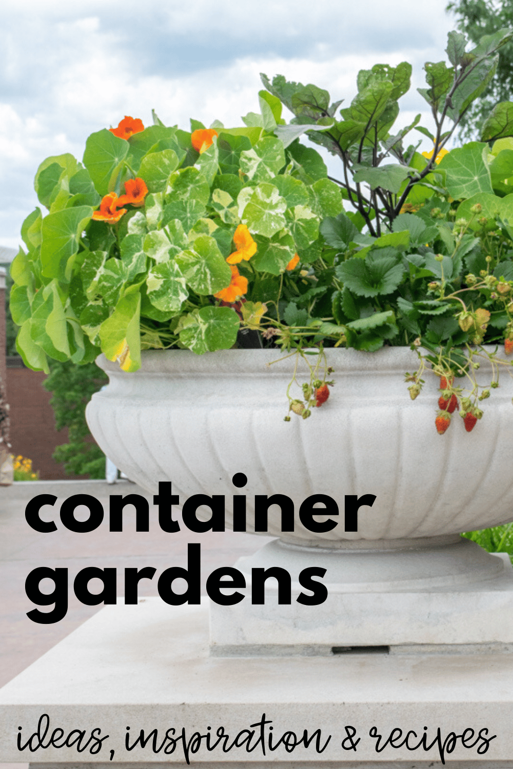 Container Garden Recipes #1 · Nourish And Nestle