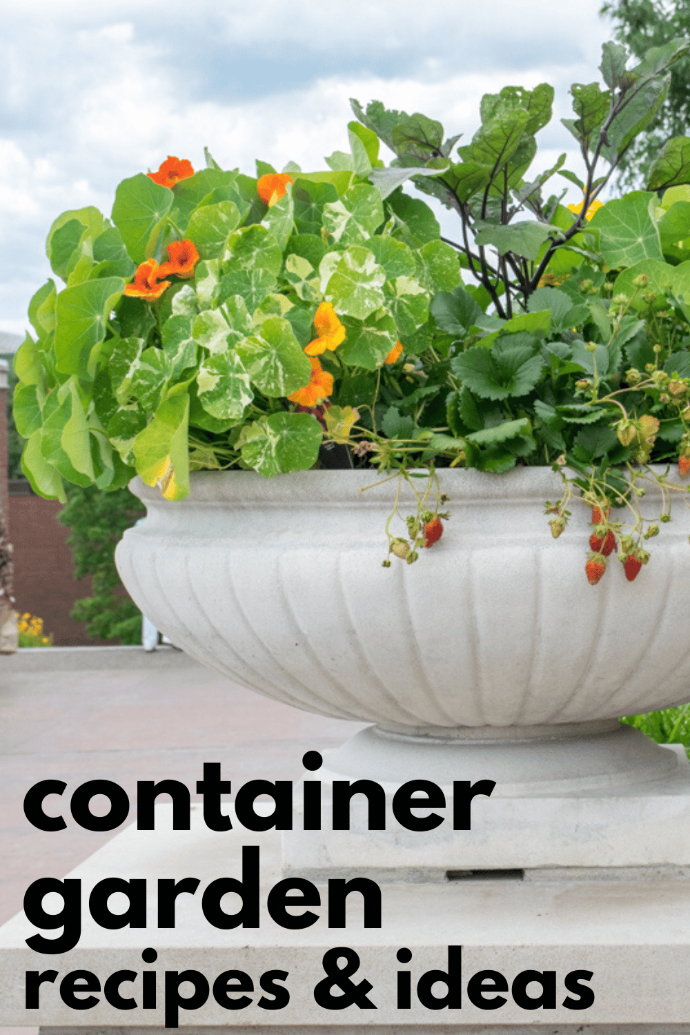 Container Garden Recipes 1 · Nourish and Nestle