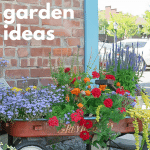 Container Garden in Red Wagon