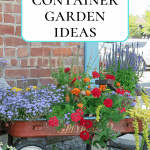 Container Garden in Red Wagon