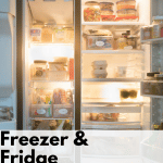Open Freezer and Refrigerator