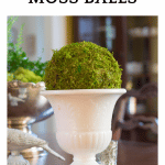 Moss Ball in Milk Glass Urn on Table