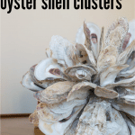 oyster shell cluster