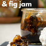 meyer lemon and fig jam on cheese and cracker