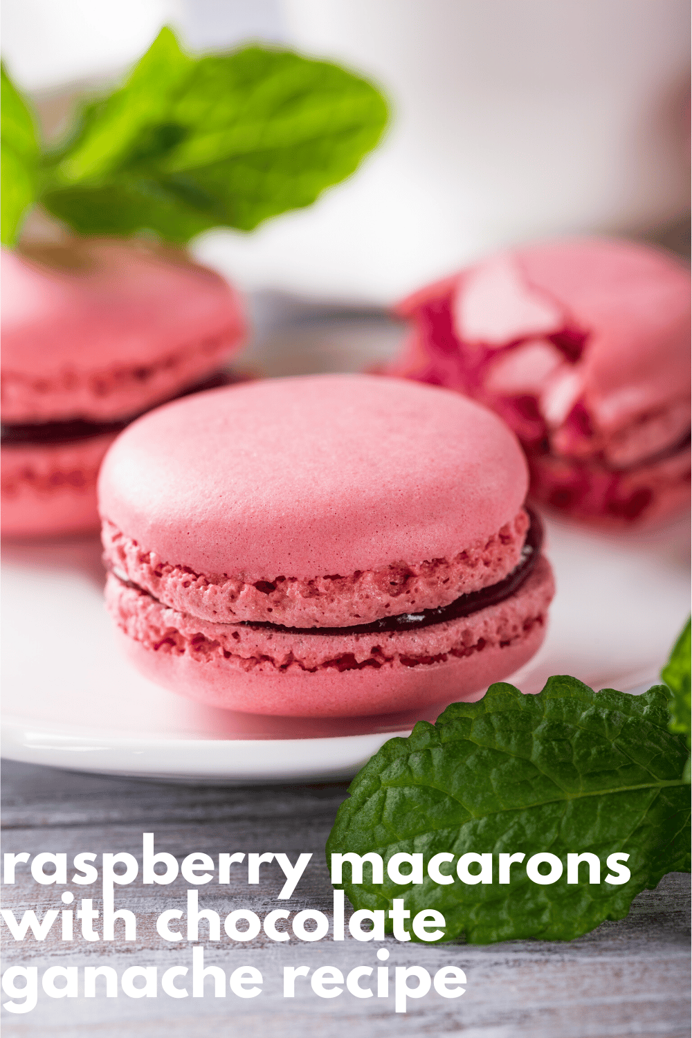 Raspberry Macarons Recipe with Chocolate Raspberry Ganache · Nourish ...