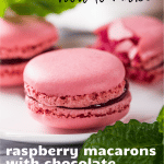 raspberry macarons with chocolate raspberry ganache