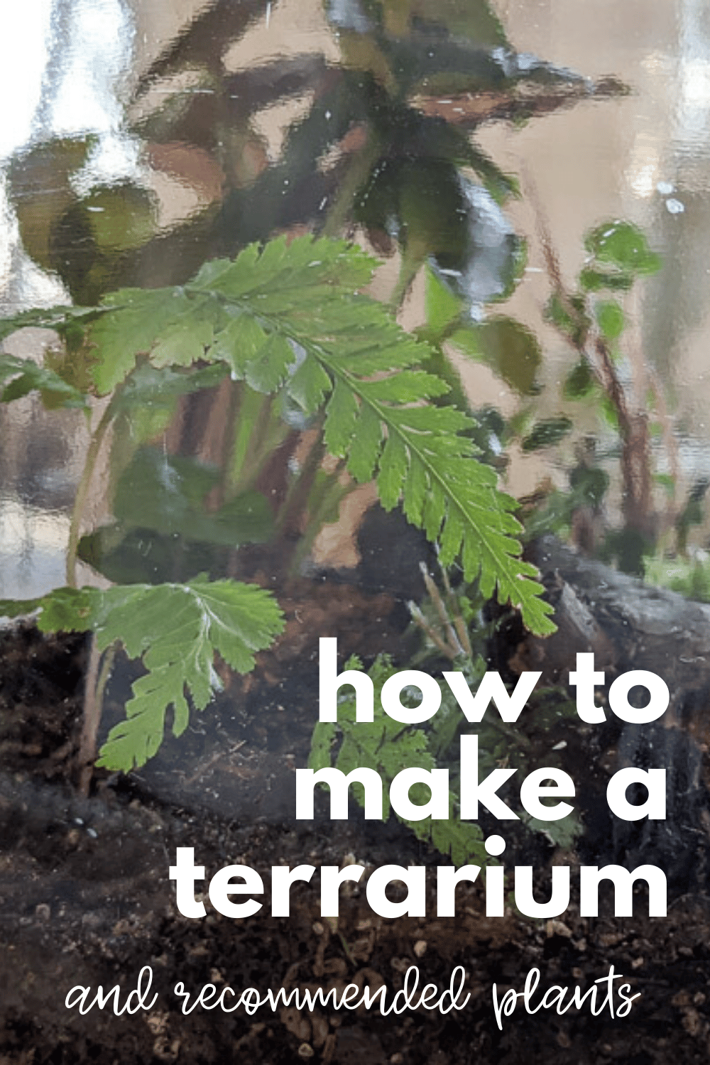 How to Make a Terrarium · Nourish and Nestle