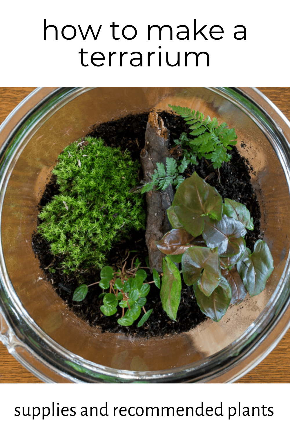 How to Make a Terrarium · Nourish and Nestle